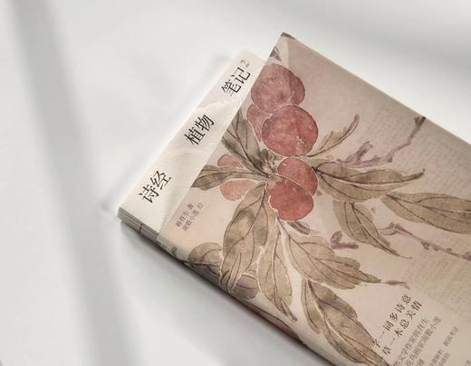 诗经植物笔记 2 韩育生 诗意解析 源流考证 植物性状读诗感悟书籍 诗经植物笔记体读本 植物之美 中国古典文化读物赏析 商品图4