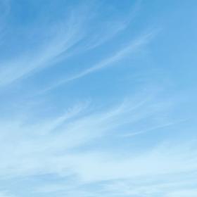 餐具一套（5个碟子，5个叉子，1把刀）