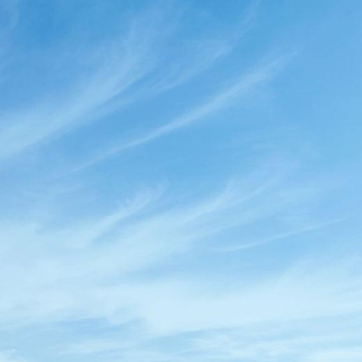 餐具一套（5个碟子，5个叉子，1把刀） 商品图0