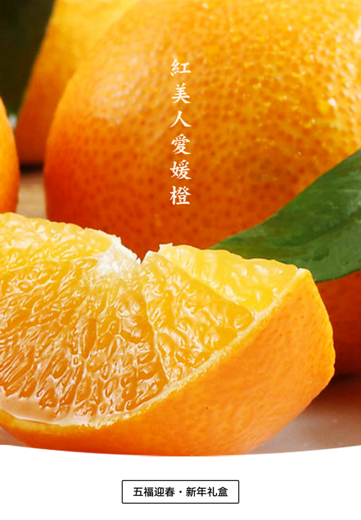 红美人爱媛橙【1.10发货】丨柑橘中的"爱马仕",皮薄多汁,细腻无渣