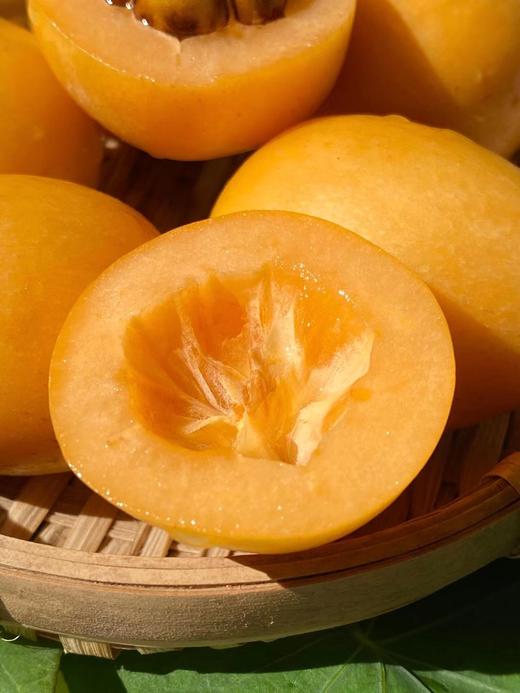 云南蒙自枇杷 商品图1