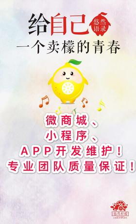 小程序商城对接 专业技术团队，微商城、小程序、APP开发维护！