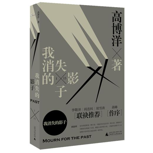【“云端书展”专区】新民说    我消失的影子   高博洋/著     小说  悬疑小说   商品图0