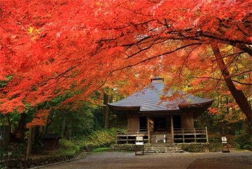 日本艺术与设计活动建筑-露天建筑公园二 商品图9