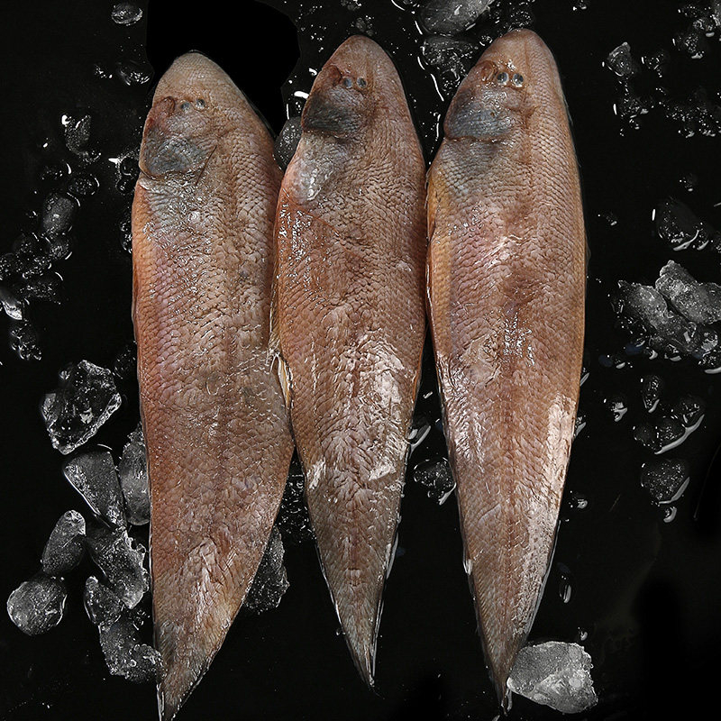 舟山海鲜 深海野生新鲜大米鱼 鳘鱼鮸鱼 1条1斤左右