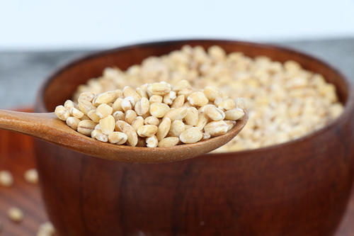 大麦仁 商品图0