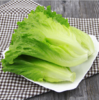 【时令蔬菜】生菜500g/份 商品缩略图1