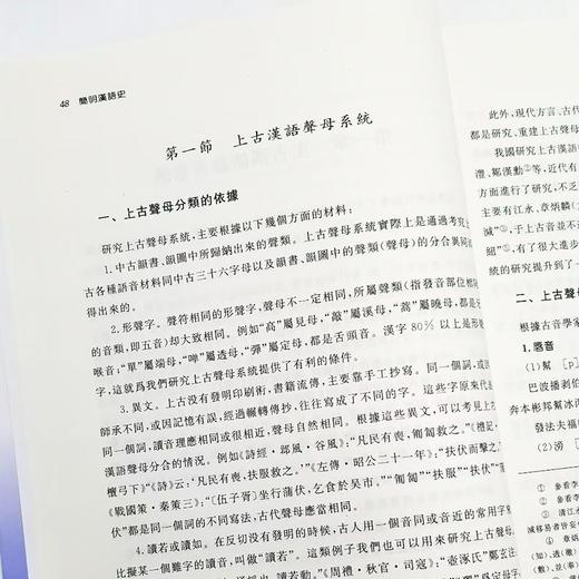 《简明汉语史》（上下两册） 向熹著 商品图5