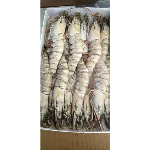 海捕生冻黑虎虾600克-700克