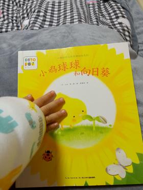 《小鸡球球和向日葵》：一个暖心的故事，生命的逝去以及另外一种形式的陪伴