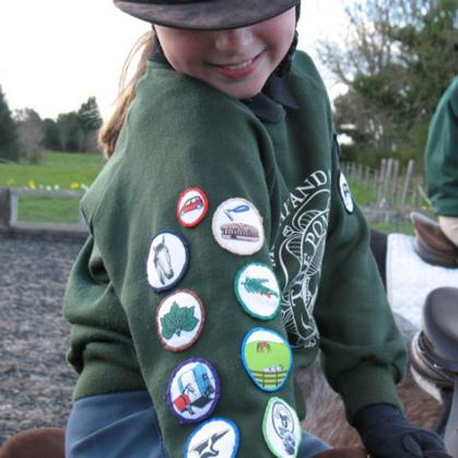 MINI徽章课程 商品图0