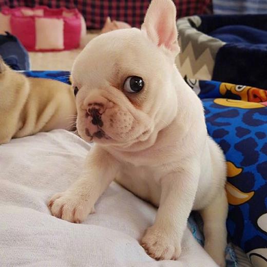 礼品1-SPA 9选1 开店储值礼包赠送 商品图0