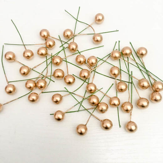 【上手】圣诞装饰配件（果叶挂件） 商品图4