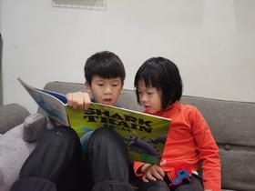 《好厉害，小车迷》：孩子们模仿故事的情节“打斗”地很尽兴，玩得不亦乐乎