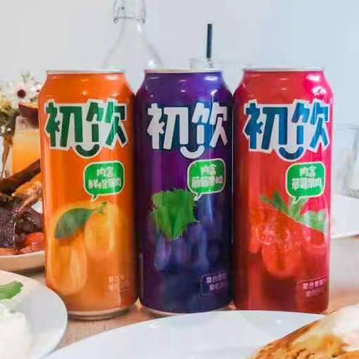 【10元3罐】初饮复合葡萄汁/橙汁果粒饮品500g（0402514/15/16） 商品图0