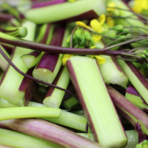 【时令蔬菜】新鲜红菜薹500g±20g 商品图2
