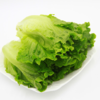 【时令蔬菜】生菜500g/份 商品缩略图0