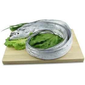 新鲜舟山小眼带鱼（5斤/箱）单条长60-65cm 中段宽4-5cm