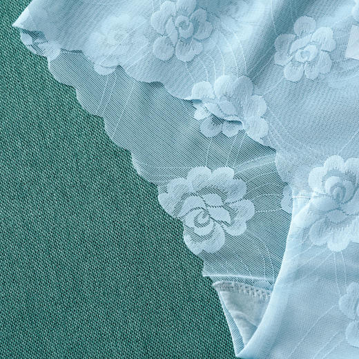 雅黛丽女士内裤低腰平角裤纯棉底裆透气舒适网纱单条装底裤DYK03050 商品图3