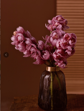 【周四团购】单枝大花蕙兰59.8元 2人拼团