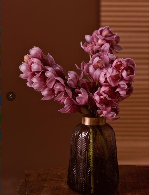 【周四团购】单枝大花蕙兰59.8元 2人拼团 商品图0