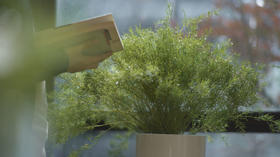 焕新美学 | 天然自成原色力，回溯自然味道