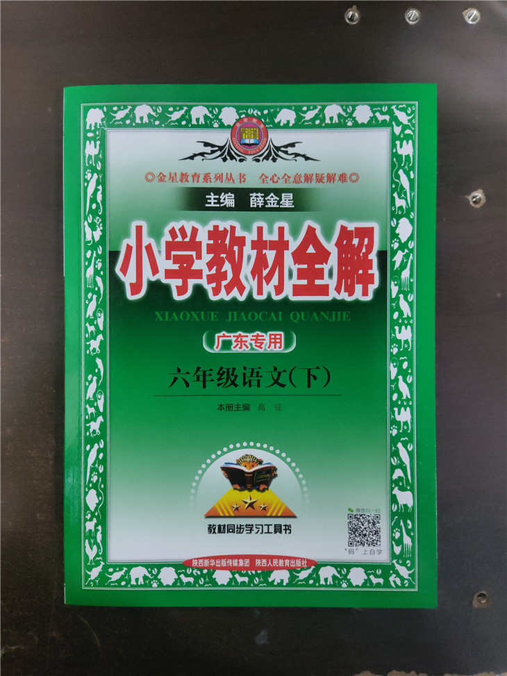 教材全解六年级语文下册人教版