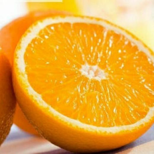 青秋脐橙（大果）包邮 商品图1