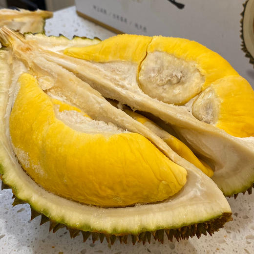 马来西亚d197液氮猫山王榴莲(带壳) 一生必吃一次的榴莲