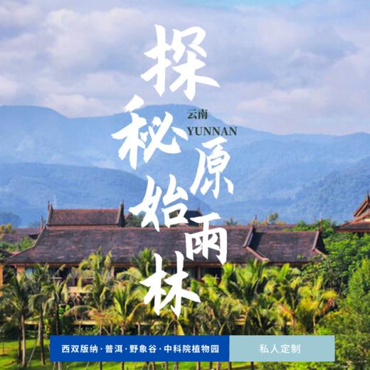 孩子志旅行 | 云南 ·探秘原始雨林 六日 商品图0
