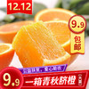 青秋脐橙（大果）包邮 商品缩略图0