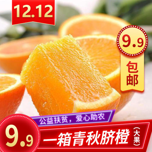 青秋脐橙（大果）包邮 商品图0