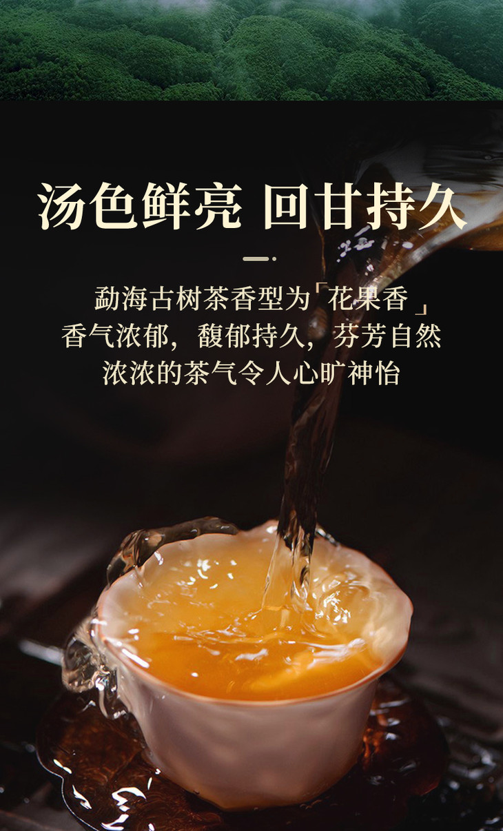 勐海味普洱生茶357克 - 尚礼工厂