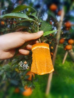 爱橙 果冻橙 6斤礼盒装