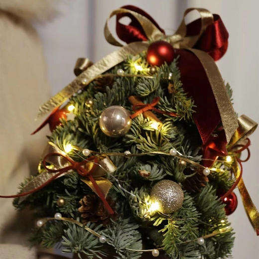 圣诞限定  音乐盒款 诺贝松真圣诞树 商品图2