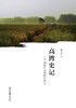 高湾史记：一个运河村庄里的时代流变 商品缩略图1
