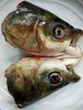 605鲩鱼头 约350克至400克 配葱姜 商品缩略图0