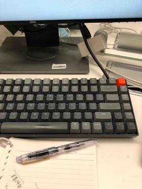 路霜掌柜说 不显示