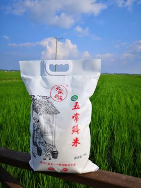 北域新农鲜米—来自五常稻花香核心产区