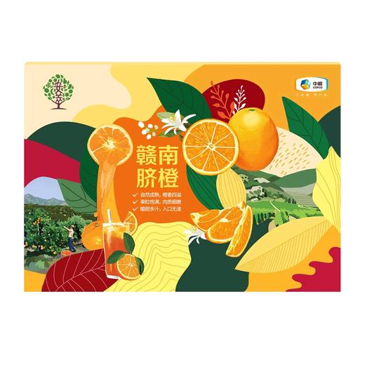 【分仓直发包邮】中粮安萃赣南脐橙礼盒5kg（特级） 商品图4