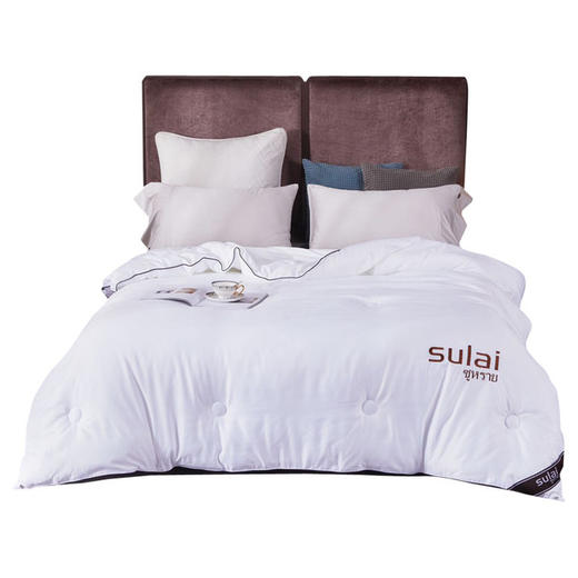 【泰国】进口素莱大豆纤维七孔抑制病菌被加厚秋冬双人被芯学生宿舍保暖 商品图4