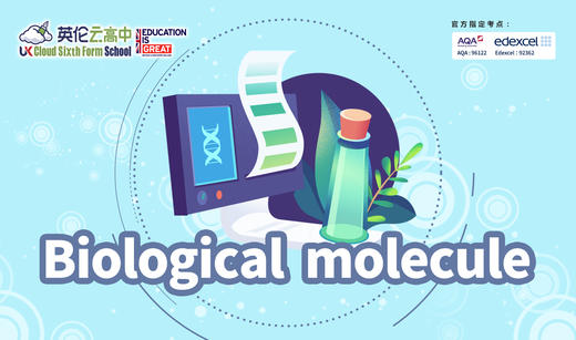 【电子版】爱德思IAL AS生物topic 1知识点框架 商品图0