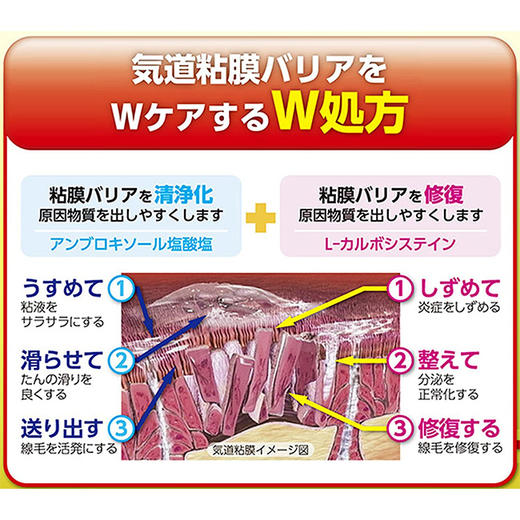 大正 巴布隆艾斯pro 18片（045941） 商品图2