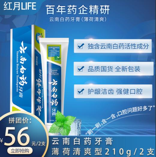 云南白药牙膏清爽薄荷210g*2家庭装清新护龈 商品图0
