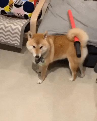 哈哈哈 商品图0