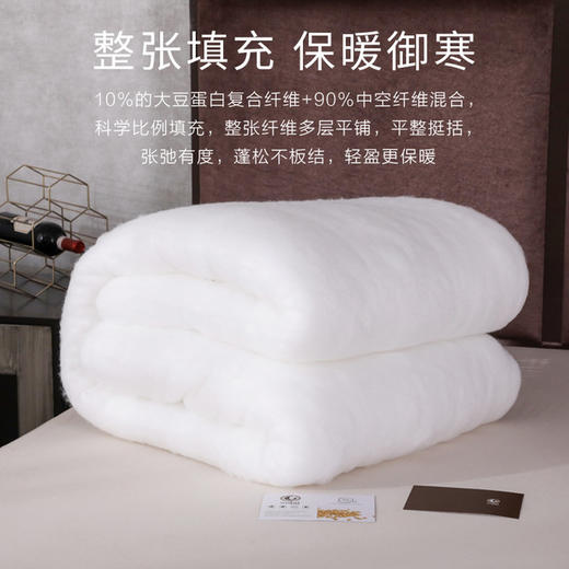 【泰国】进口素莱大豆纤维七孔抑制病菌被加厚秋冬双人被芯学生宿舍保暖 商品图1