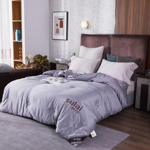 【泰国】进口素莱大豆纤维七孔抑制病菌被加厚秋冬双人被芯学生宿舍保暖 商品图3