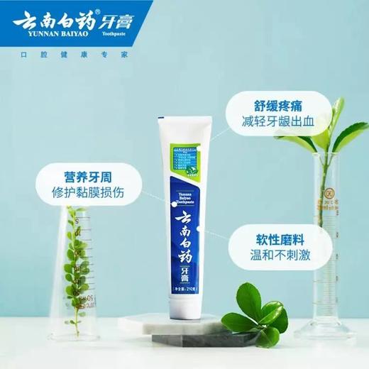 云南白药牙膏清爽薄荷210g*2家庭装清新护龈 商品图2