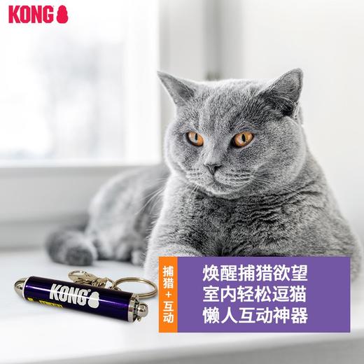 KONG 激光笔 猫玩具 商品图1