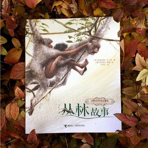 名著名译名绘版，丛林故事 商品图1